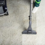 The New Necessity? Carpet Cleaning
