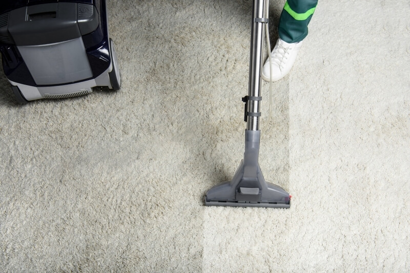 The New Necessity? Carpet Cleaning